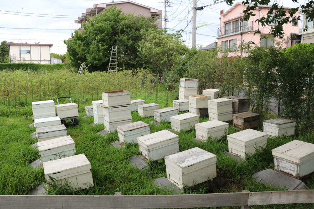 養蜂場